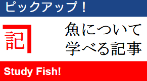 おさかなの記事