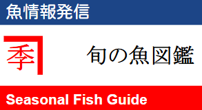 旬の魚図鑑